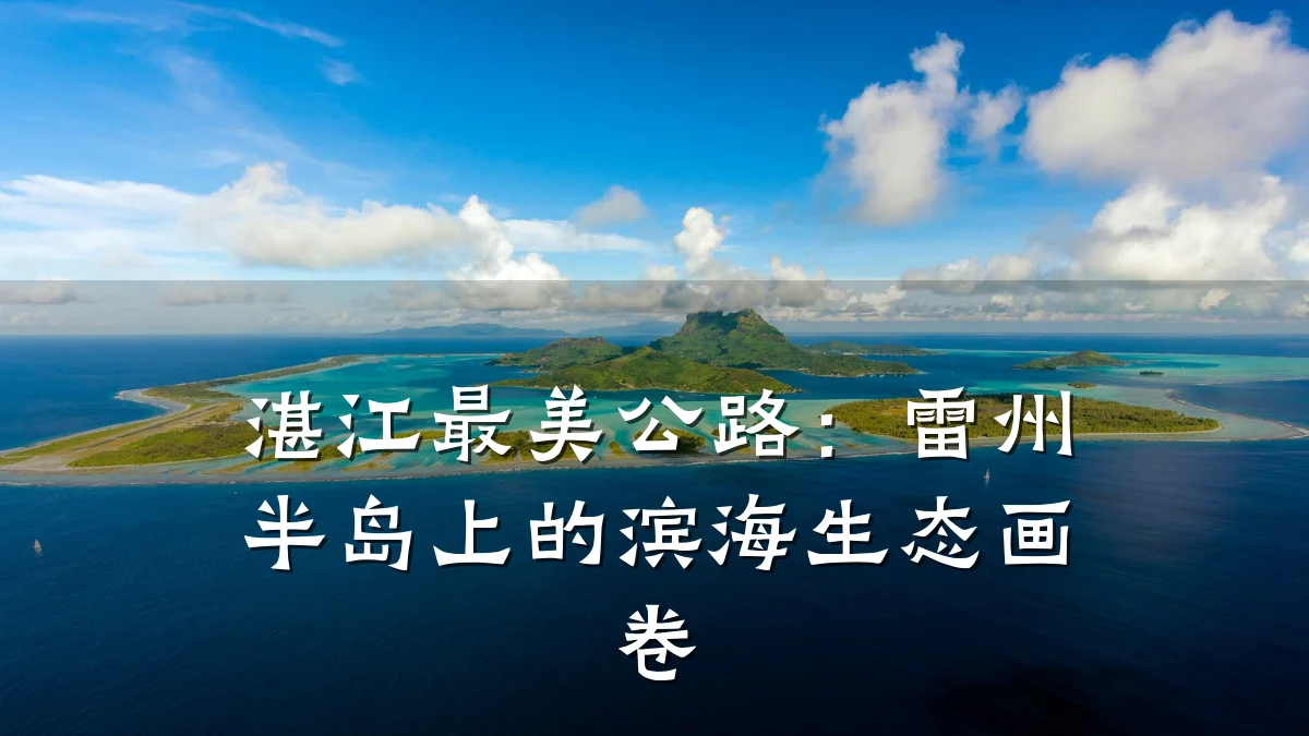 湛江最美公路:雷州半岛上的滨海生态画卷