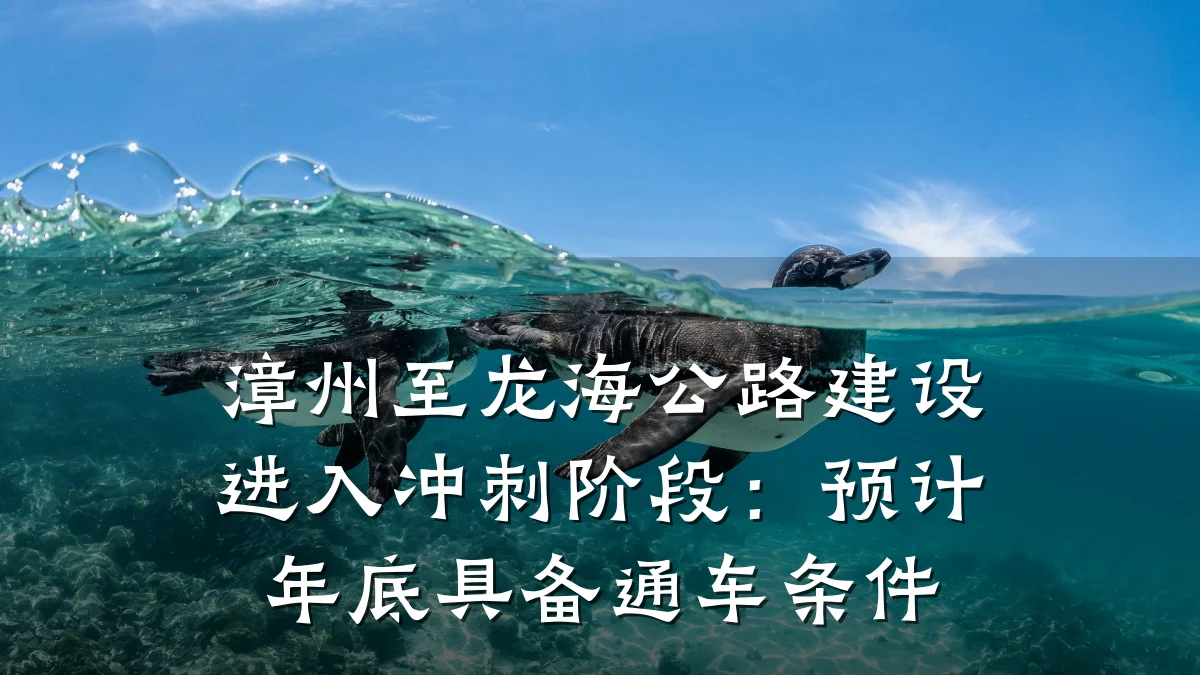 漳州至龙海公路建设进入冲刺阶段:预计年底具备通车条件
