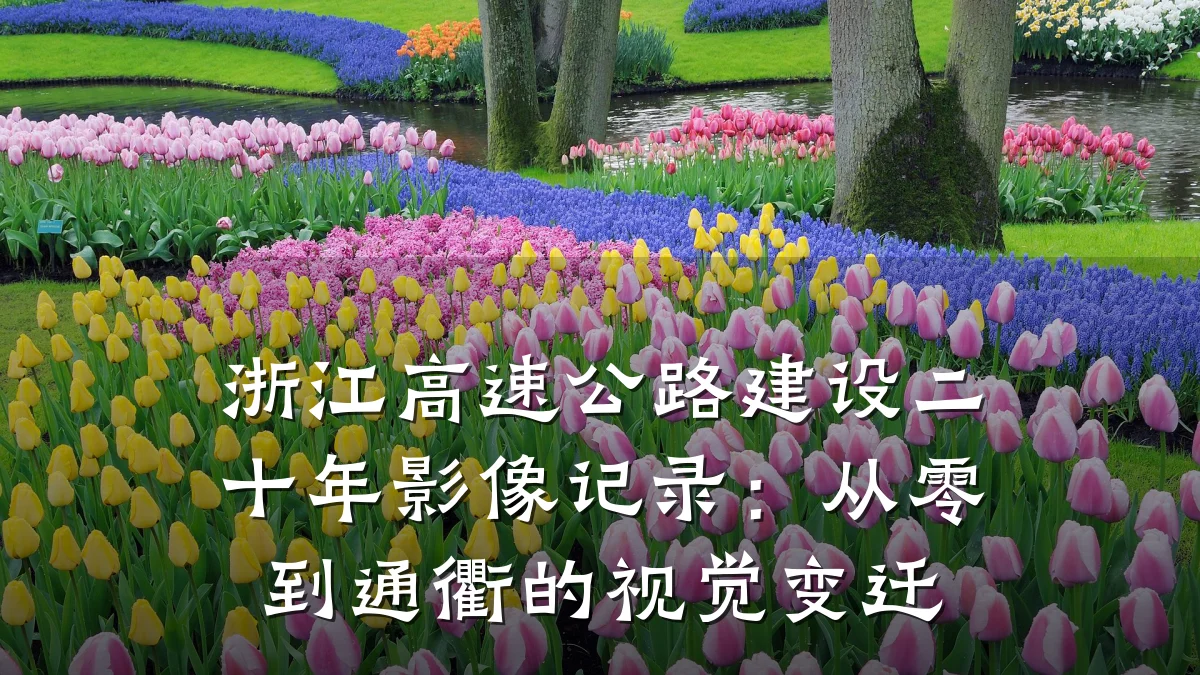 浙江高速公路建设二十年影像记录:从零到通衢的视觉变迁
