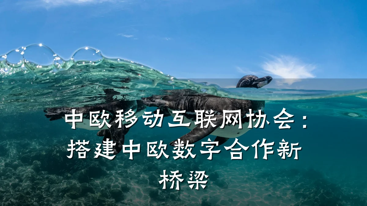 中欧移动互联网协会：搭建中欧数字合作新桥梁