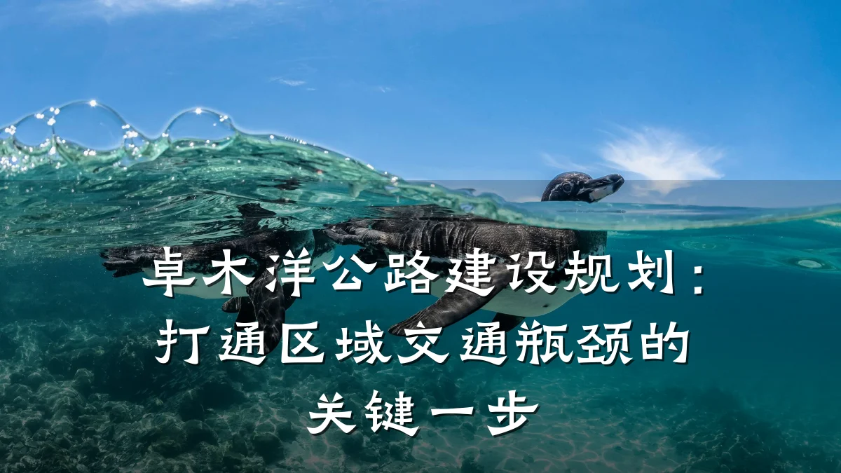 卓木洋公路建设规划:打通区域交通瓶颈的关键一步