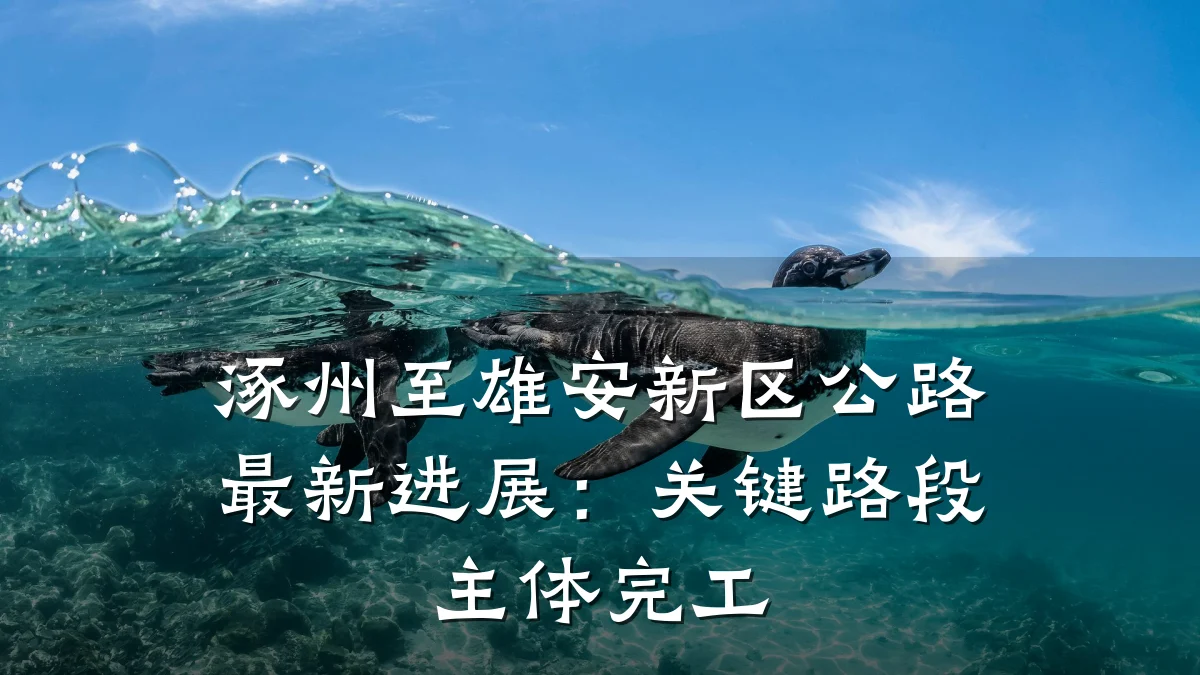 涿州至雄安新区公路最新进展：关键路段主体完工