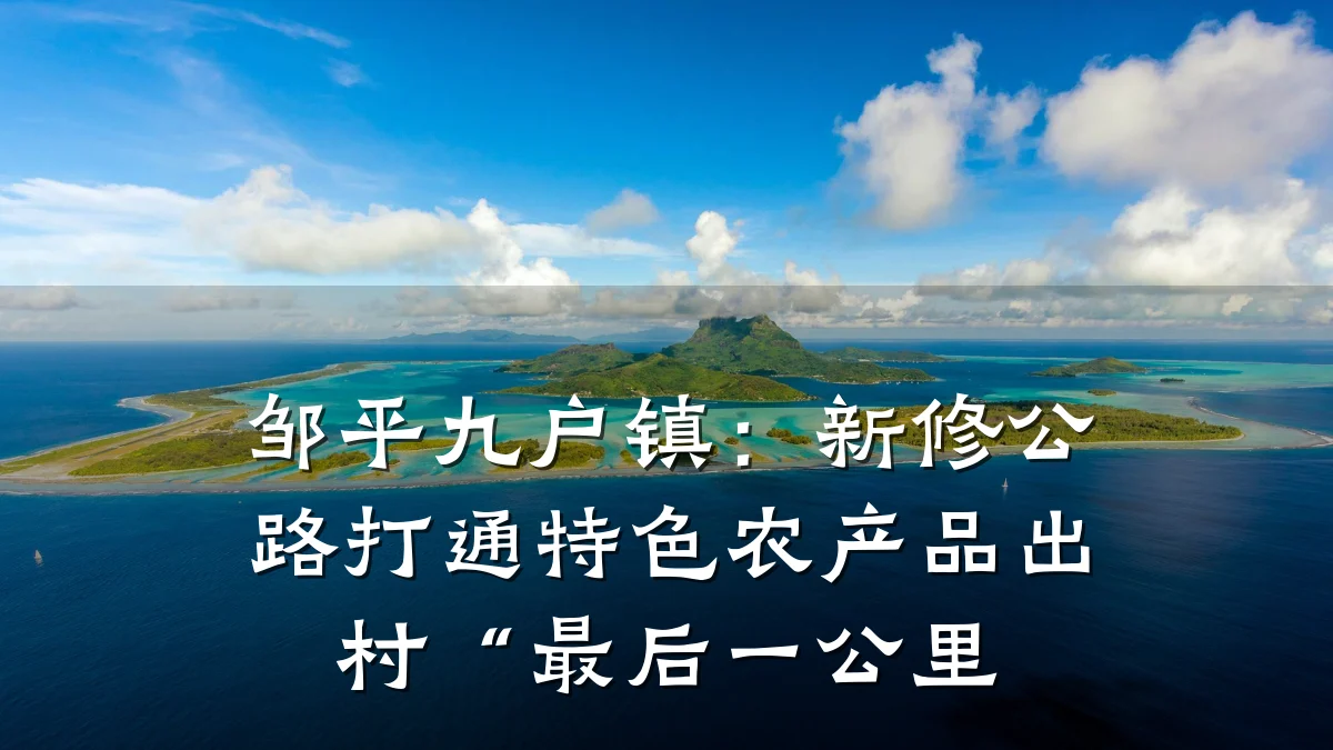 邹平九户镇:新修公路打通特色农产品出村“最后一公里