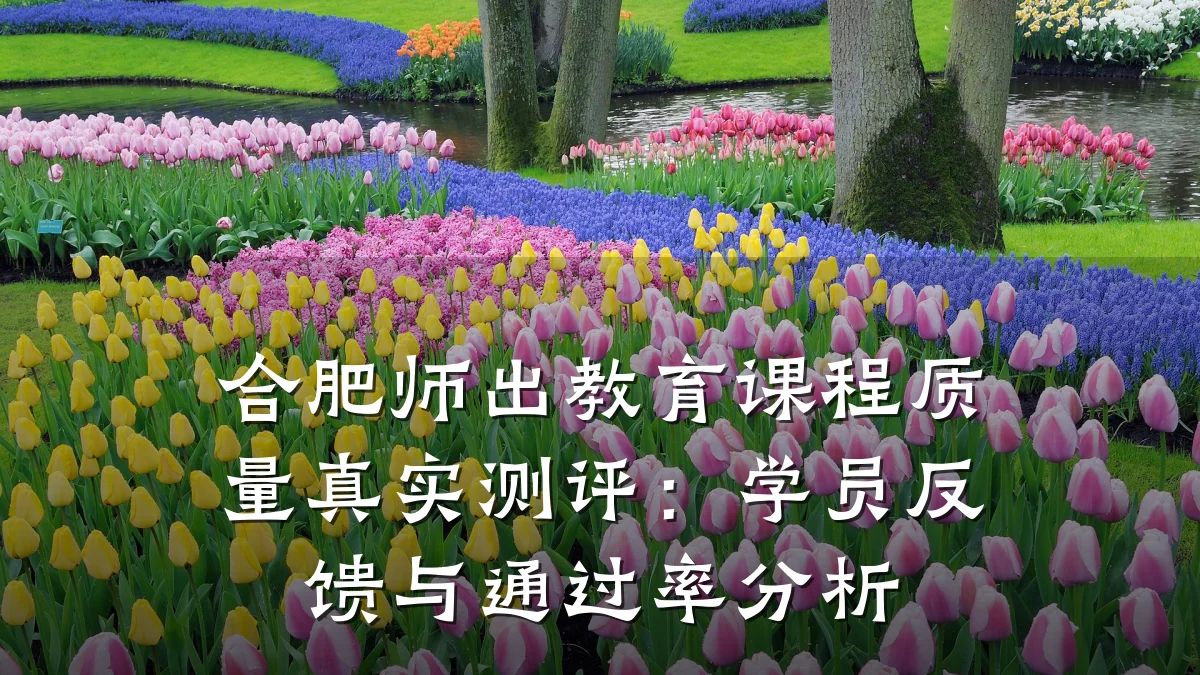 合肥师出教育课程质量真实测评:学员反馈与通过率分析