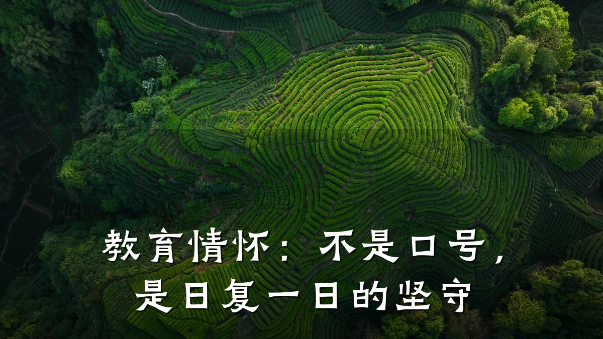 教育情怀：不是口号，是日复一日的坚守