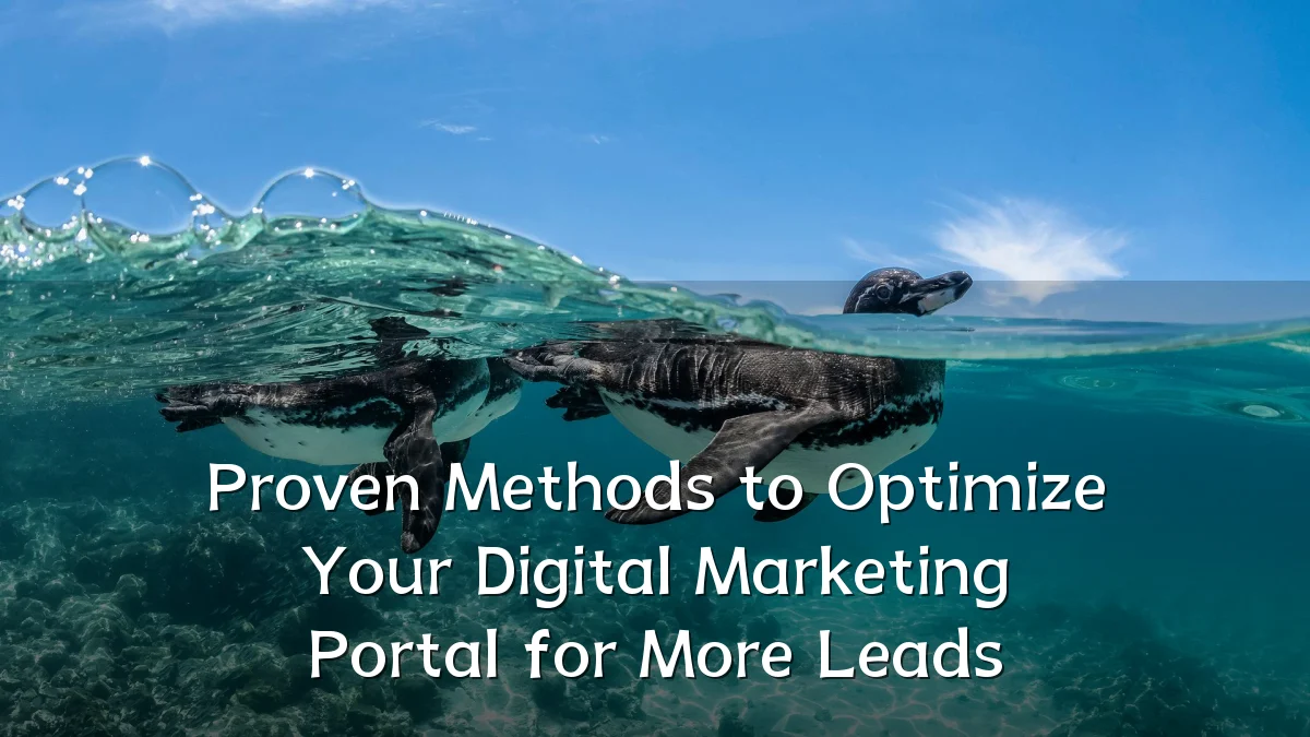 Proven Methods to Optimize Your Digital Marketing Portal for More Leads